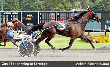 Can I Say Making A Statement