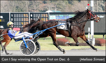 Can I Say Defeats Open Trotters