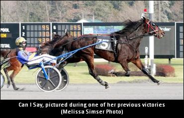 Track Record For Can I Say