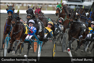 Canada's Top Performers Of 2020