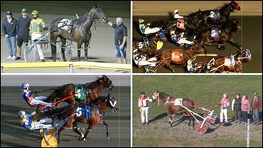 Canada's Biggest Upsets Of 2020
