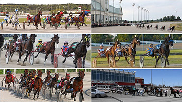 Standardbreds Flood Qualifying Sessions