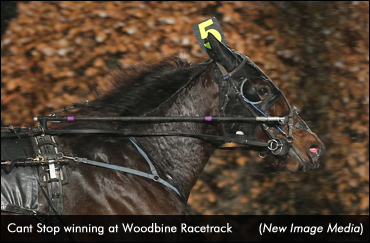 Cant Stop Upsets In Preferred