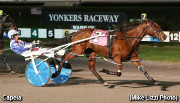 Capela Perfect In Petticoat Series