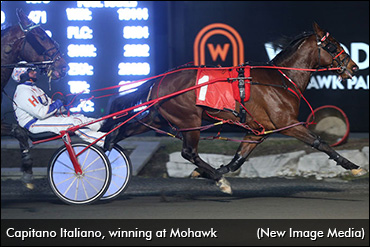 Capitano Italiano Stays Perfect