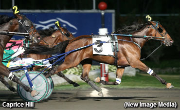 Field Set For Peaceful Way