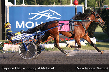 Caprice Hill Returns To Mohawk