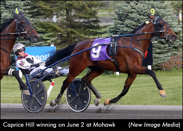 Caprice Hill Wins 4YO Debut; Windsun Revenge Sizzles