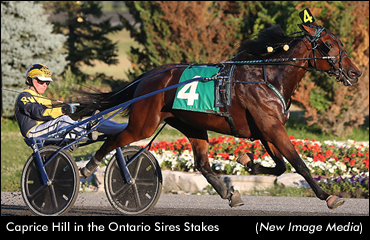 Gold Stars Shine At Mohawk
