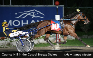 Kadabra Fillies Sweep Casual Breeze
