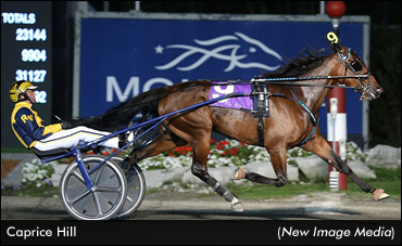 Kadabra Fillies Face Off Friday