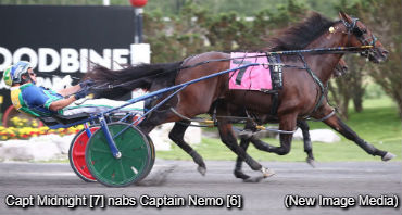 'Captain' Colts Sweep Dream Maker