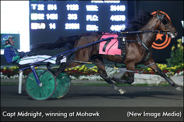 Capt Midnight Retired, To Stud