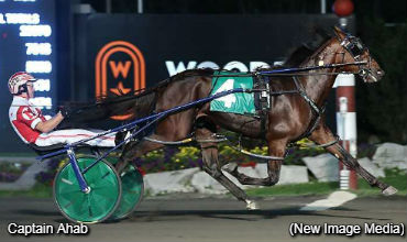 Captain Ahab Retired, To Stud