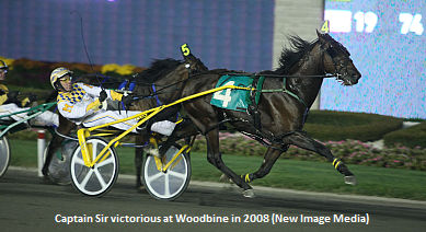 Captain Sir Euthanized