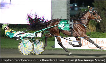 Freshman Fields Set For Breeders Crown