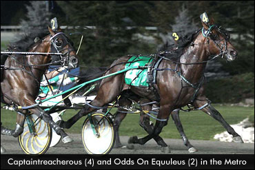 Cup Colts Headline Big M Qualifiers