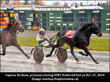 Capteur De Reve Defies The Slop