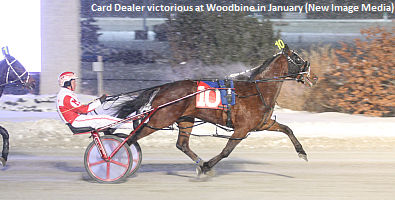 Cam Fella Series Kicks Off Saturday