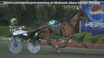 Seekman On Annieswesterncard