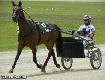 Auciello Surpasses $20 Million 