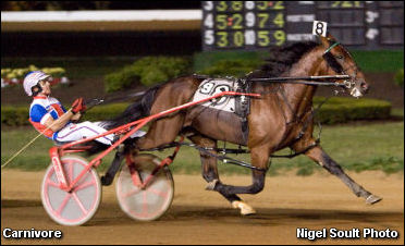 A Carnivore For Coleman