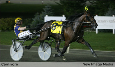 Can Carnivore Devour The Maritimes?