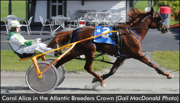 Freshmen Face Off In Maritime Breeders