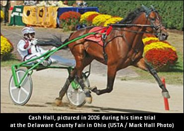 Cash Hall Retired From Breeding