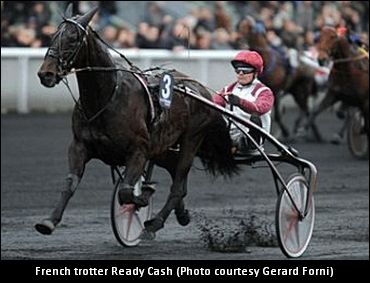 French Trotter Becomes Richest Ever