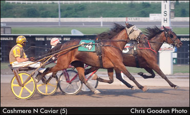 Cashmere N Caviar Still Undefeated