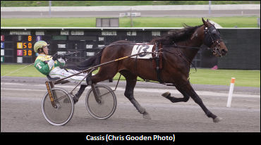 Preview Of Meadows Championship Day