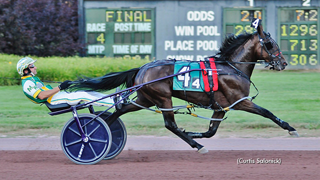 First Foal For Catch The Fire