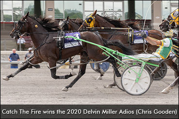 Catch The Fire Wins 2020 Adios