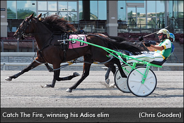 From 'Pace' Longshot To Adios Fave