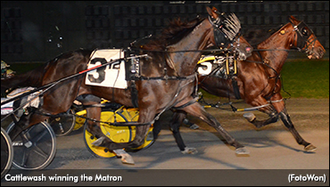 Progress Pace Elimination Set