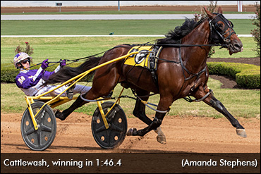 Racing And Breeding For Cattlewash?