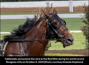 World Record 1:46.4 For Cattlewash World Record 1:46.4 For Cattlewash