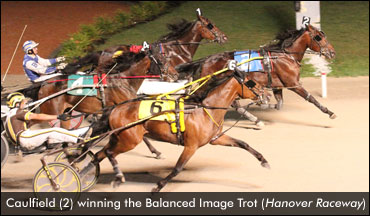 Caulfield Wins Balanced Image Trot
