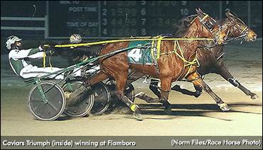 Caviars Triumph Rushes To Flamboro Win