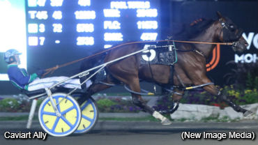 Speed Rules In Milton Elims