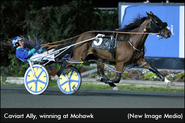 Caviart Ally Up For The Challenge