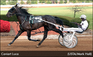 Twenty Cheques In Last 21 Starts