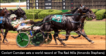 Caviart Camden Sets World Record