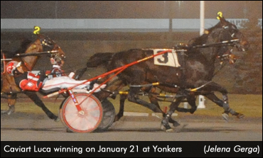 Caviart Luca Scores In Yonkers Open