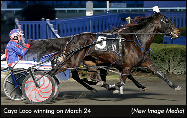 Cayo Loco Leads BGs Folly Winners