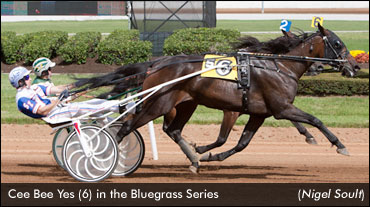 Cee Bee Yes Sets World Record