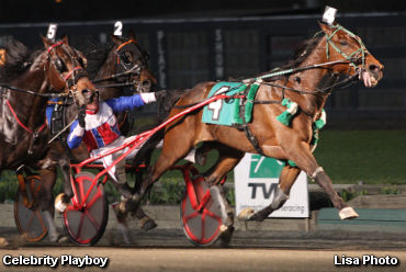 Celebrity Playboy In A Shocker