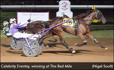 Ontario Sired Filly Making Headlines