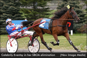 Stathis: Mohawk Put On Superb Show